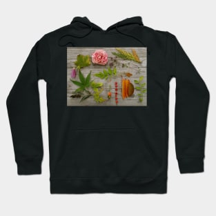 All the things of fall. Hoodie